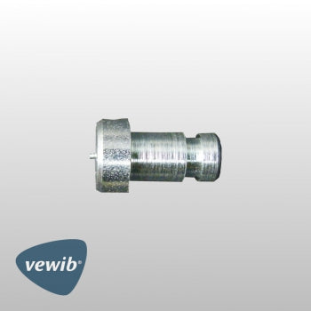 Lagerbolzen Handbremshebel Bremsbacke hinten | Vewib