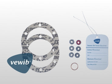 Deluxe Ölwechsel Dichtsatz 24-30 Ps mit Dichtmuttern
